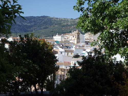 A view northwest from the Luque Plaza.